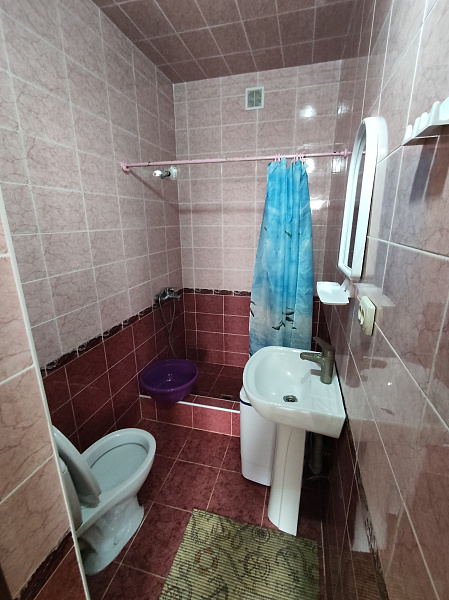 Студия с кухней 24 м² улица Кирова 68