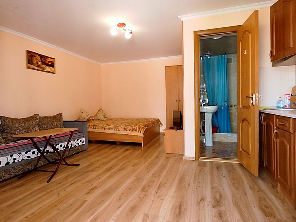 Студия с кухней 24 м² улица Кирова 68