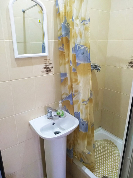 1-к.дом. 24 м² ул. Горького 