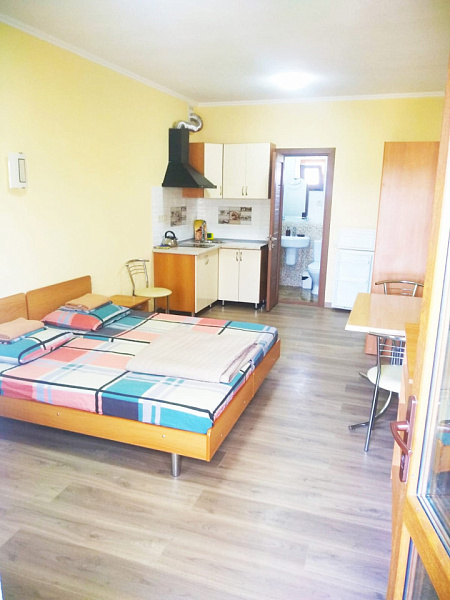 1 к. Студия 24 м²  3 эт. ул. Пушкина 