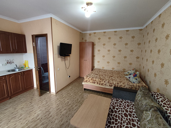 Студия с кухней 24 м² улица Кирова 68