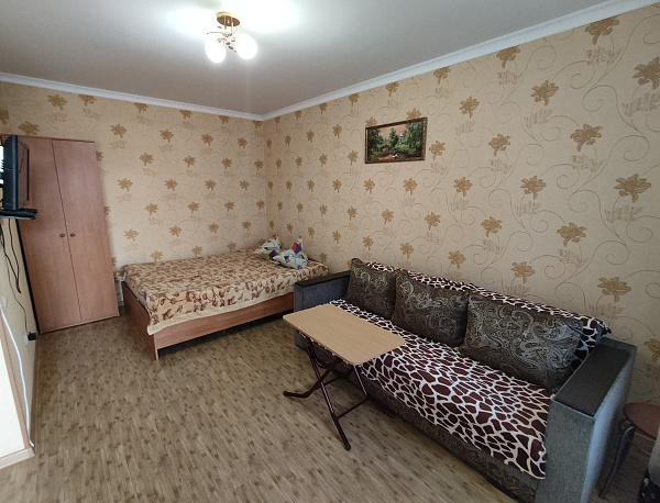 Студия с кухней 24 м² улица Кирова 68