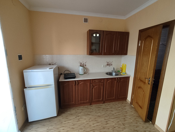 Студия с кухней 24 м² улица Кирова 68